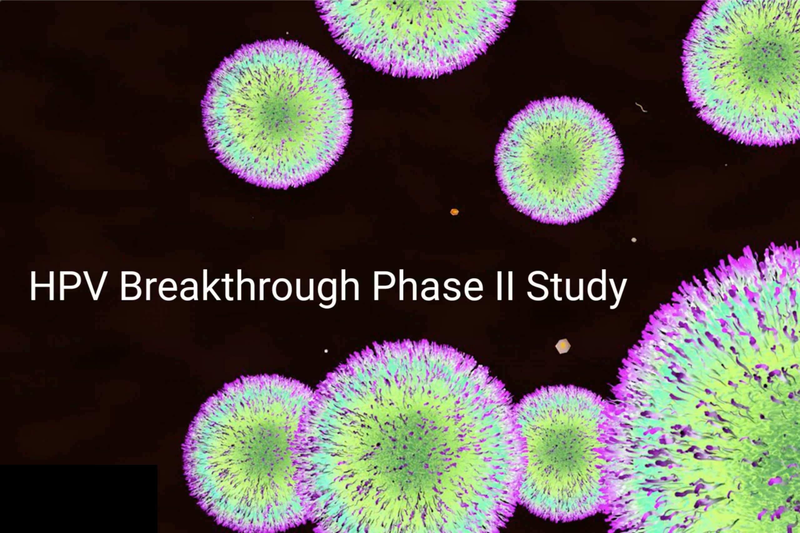 How AHCC Can Help Treat Persistent HPV Infections Vaginal Health Hub